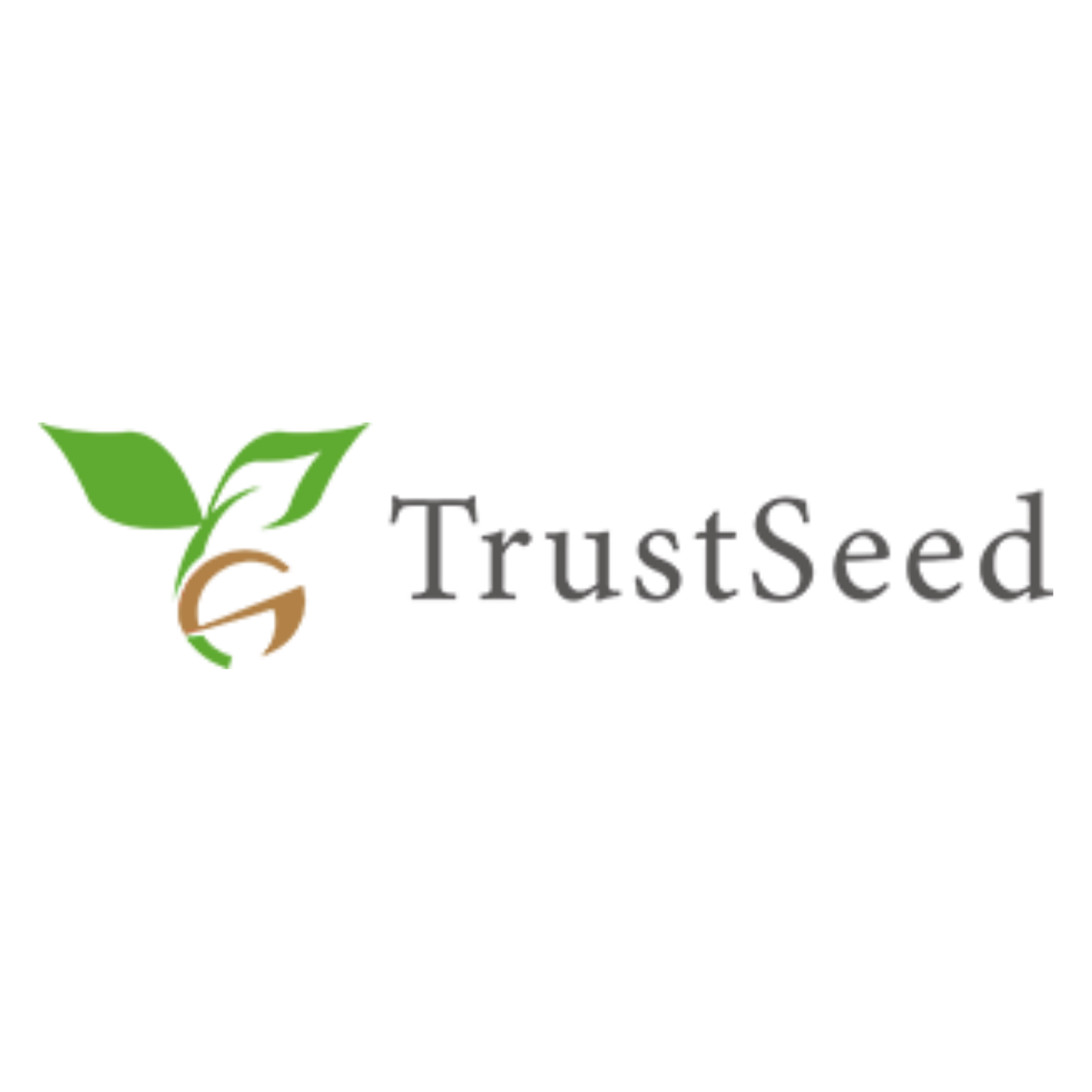 Trust Seed Group DEMOSITE